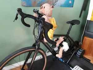 Plush toy riding a bike