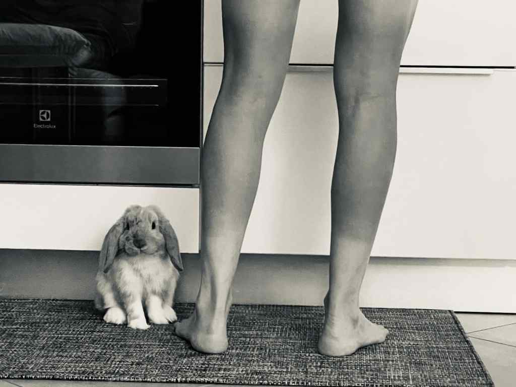 Woman standing with a rabbit