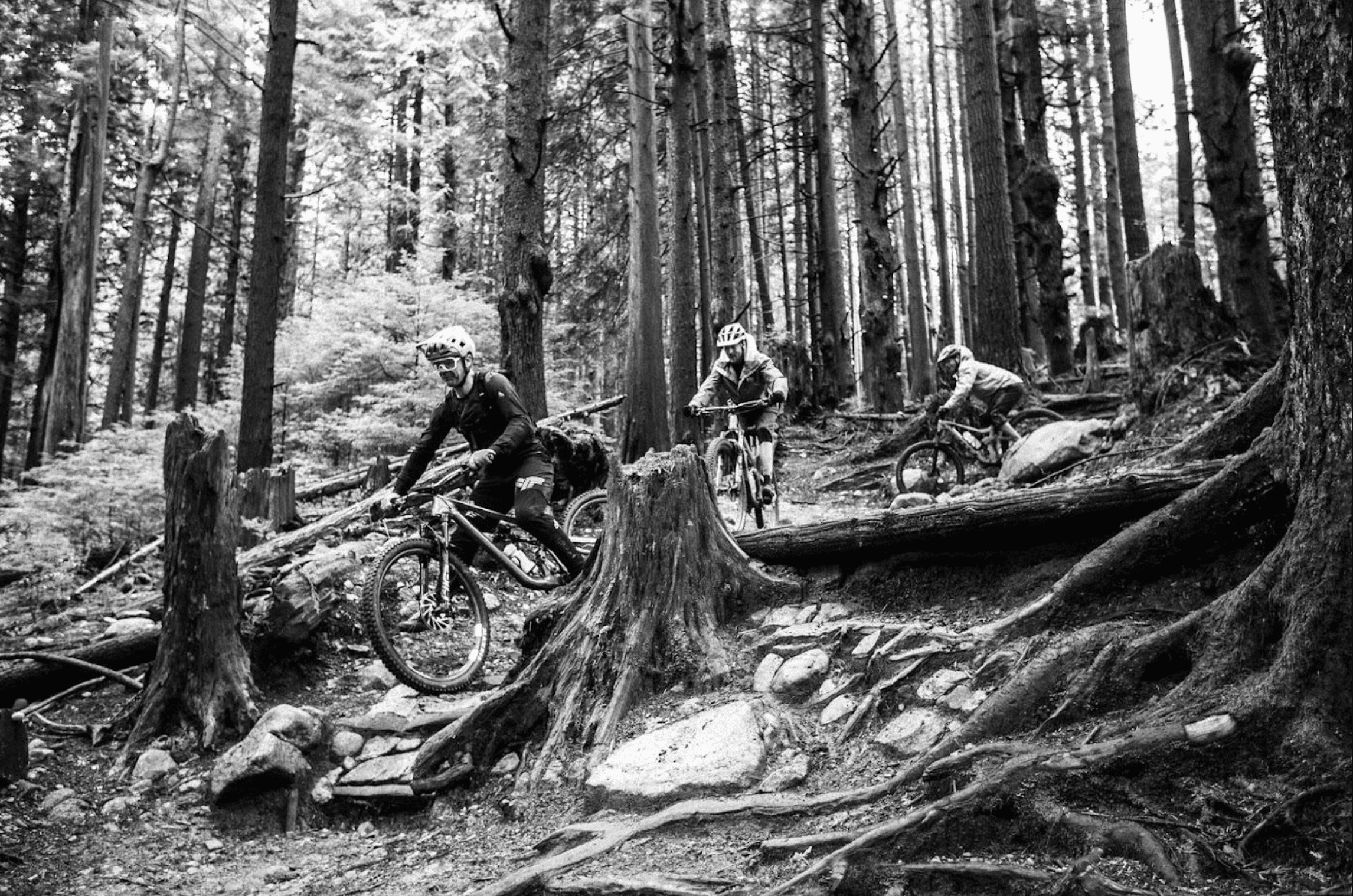 mountain bikers riding in the woods